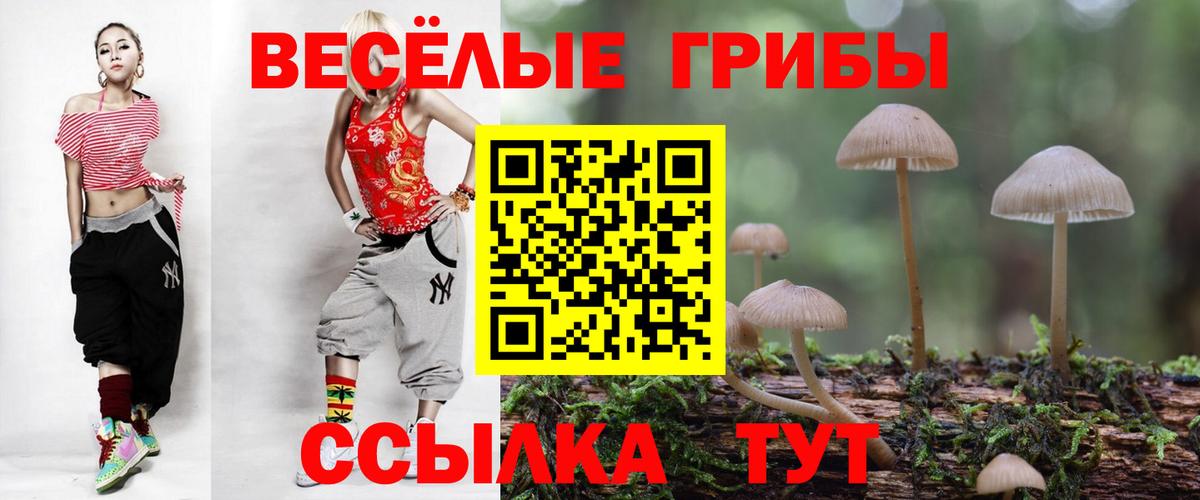 Псилоцибиновые грибы мицелий Муром